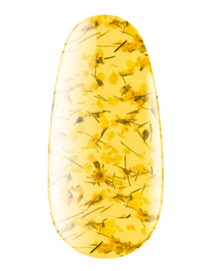 Flower Gel with dried flowers No.05, 4 ml