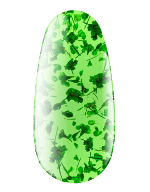 Gel floral aux fleurs séchées n°06, 4 ml