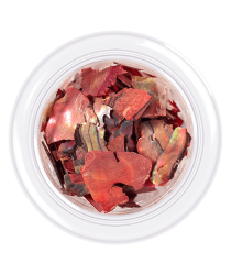 Coquille pour ongles style Coquillages, teinte n°06, 3 g