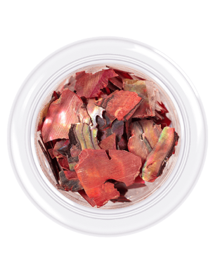 Shell for nails Shells style, shade No.06, 3 g