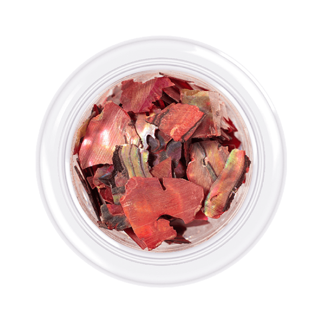 Shell for nails Shells style, shade No.06, 3 g - Kodi Professional