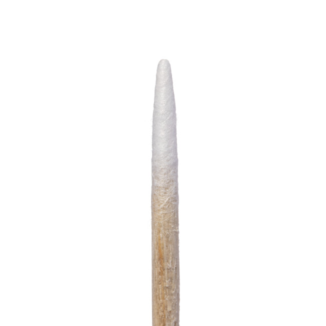 Bâtonnets d'orange, 10 cm (10 pièces) - Kodi Professional