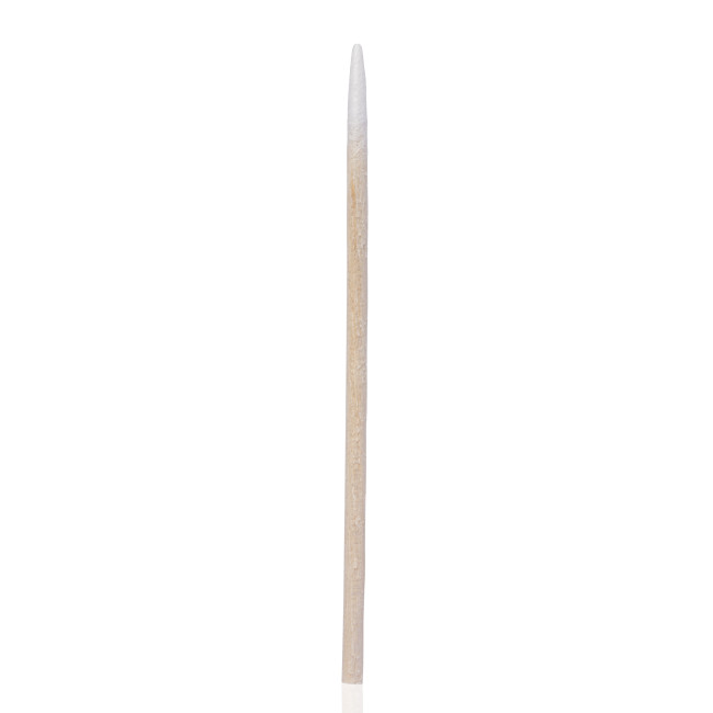 Bâtonnets d'orange, 10 cm (10 pièces) - Kodi Professional