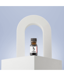 Apprêt (apprêt acide), 10 ml
