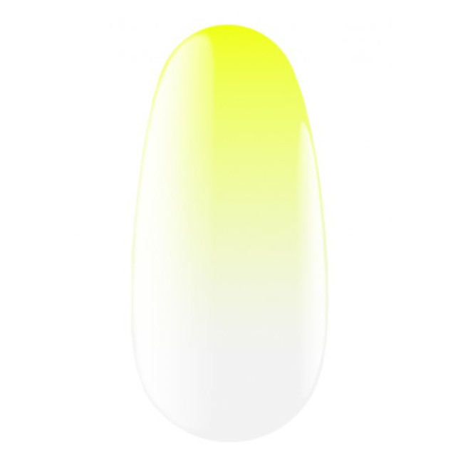 Spray Ombre Express, 13 - Kodi Professional