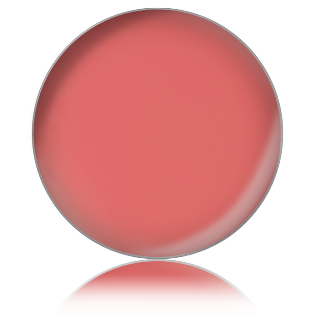 Lipstick PL № 67 (lipstick in refills), dia. 26 mm - Kodi Professional