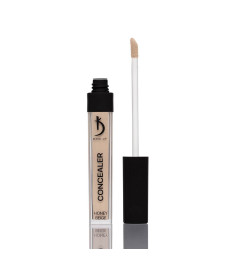 Concealer, Color: Honey Beige), 6ml