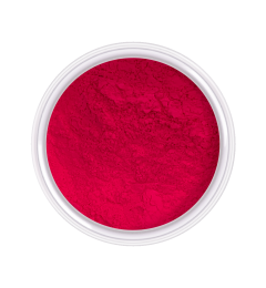 Pigment Néon n° 10, 2g