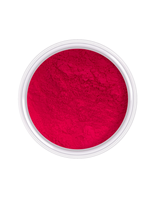Neon Pigment № 10, 2g