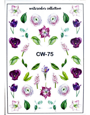 Conception du curseur CW-75