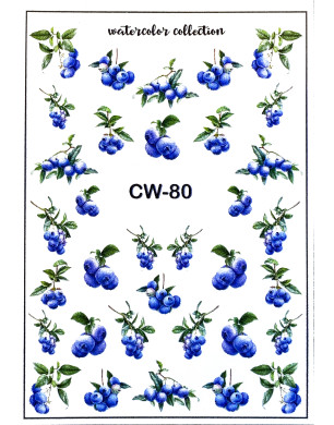 Conception du curseur CW-80