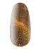 Gel polish № 22 CS, 7 ml