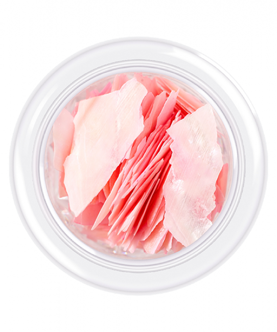 Coquille pour ongles style Coquillages, teinte n°01, 3 g