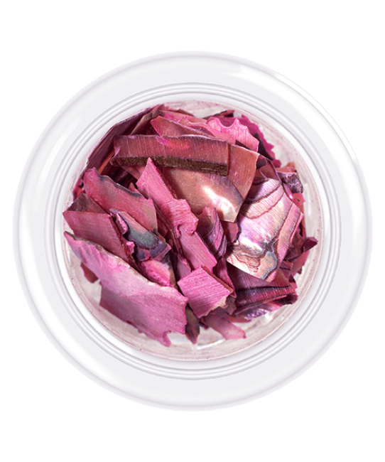 Coquille pour ongles style Coquillages, teinte n°03, 3 g