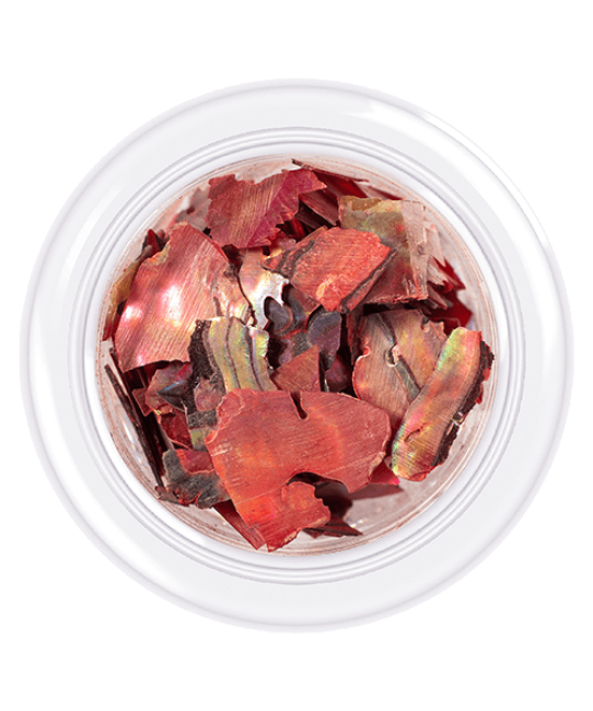 Shell for nails Shells style, shade No.06, 3 g