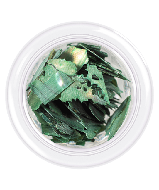 Shell for nails Shells style, shade No.08, 3 g