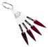Palette de vernis gel collection Cherry Cat Eye (4 types)