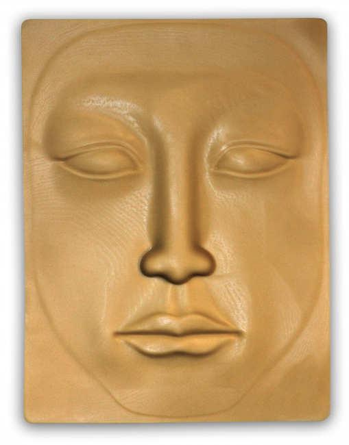 Dummy Face for Permanent Make-up Masters